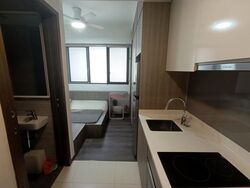 Fernvale Glades (D28), Condominium #457978971